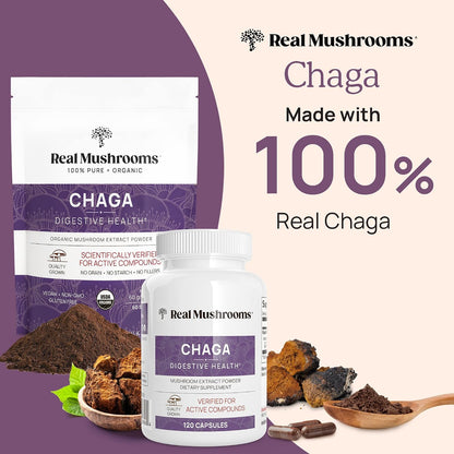 Reishi 415 Longevity Capsules (90ct), Turkey Tail Mushroom Extract Immune Support (90ct), Chaga Extract Mushroom Supplement (120 caps)