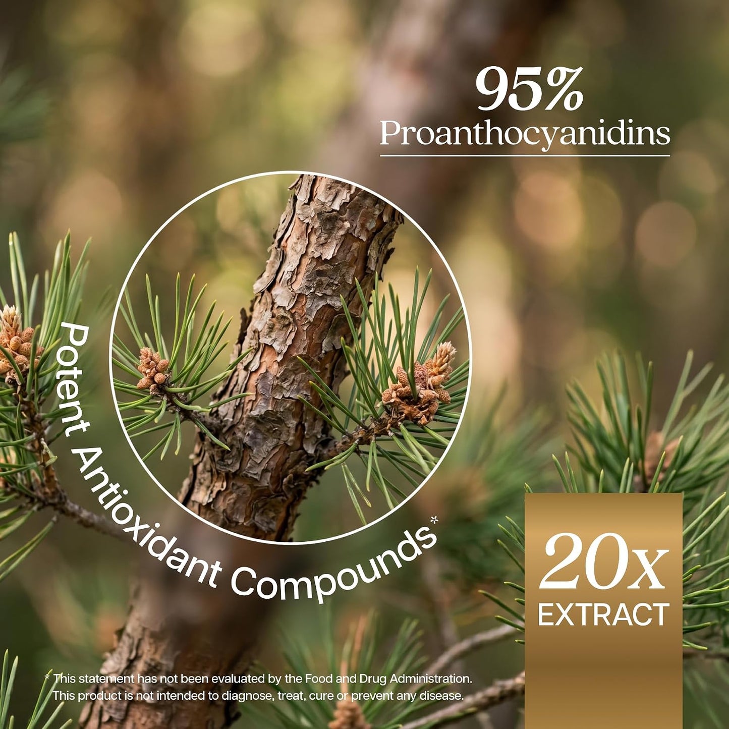 French Maritime Pine Bark Extract Capsules, 95% Proanthocyanidins, Vegan | 6 Month Supply, Cardiovascular & Antioxidant Support, High-Strength Pine Bark Extract 350mg, Vegan & Non-GMO, 180 Capsules