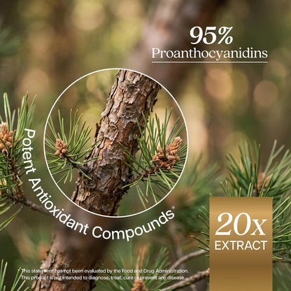 French Maritime Pine Bark Extract Capsules, 95% Proanthocyanidins, Vegan | 6 Month Supply, Cardiovascular & Antioxidant Support, High-Strength Pine Bark Extract 350mg, Vegan & Non-GMO, 180 Capsules