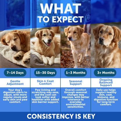 Dog Allergy Relief Chews - Itching Skin Relief for Dogs - Fish Oil - Omega 3 - Seasonal Allergies Pills - Skin & Coat, Anti Itch,Hot Spots Treatment - Canine Immune Health Supplement - 120 Soft Treats