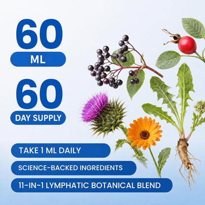 Lymphatic Drainage Drops - Advanced Herbal Liquid Support for Natural Fluid Balance & Immunity - Burdock Root, Elderberry & Calendula - Raspberry Flavor, 2-Month Supply