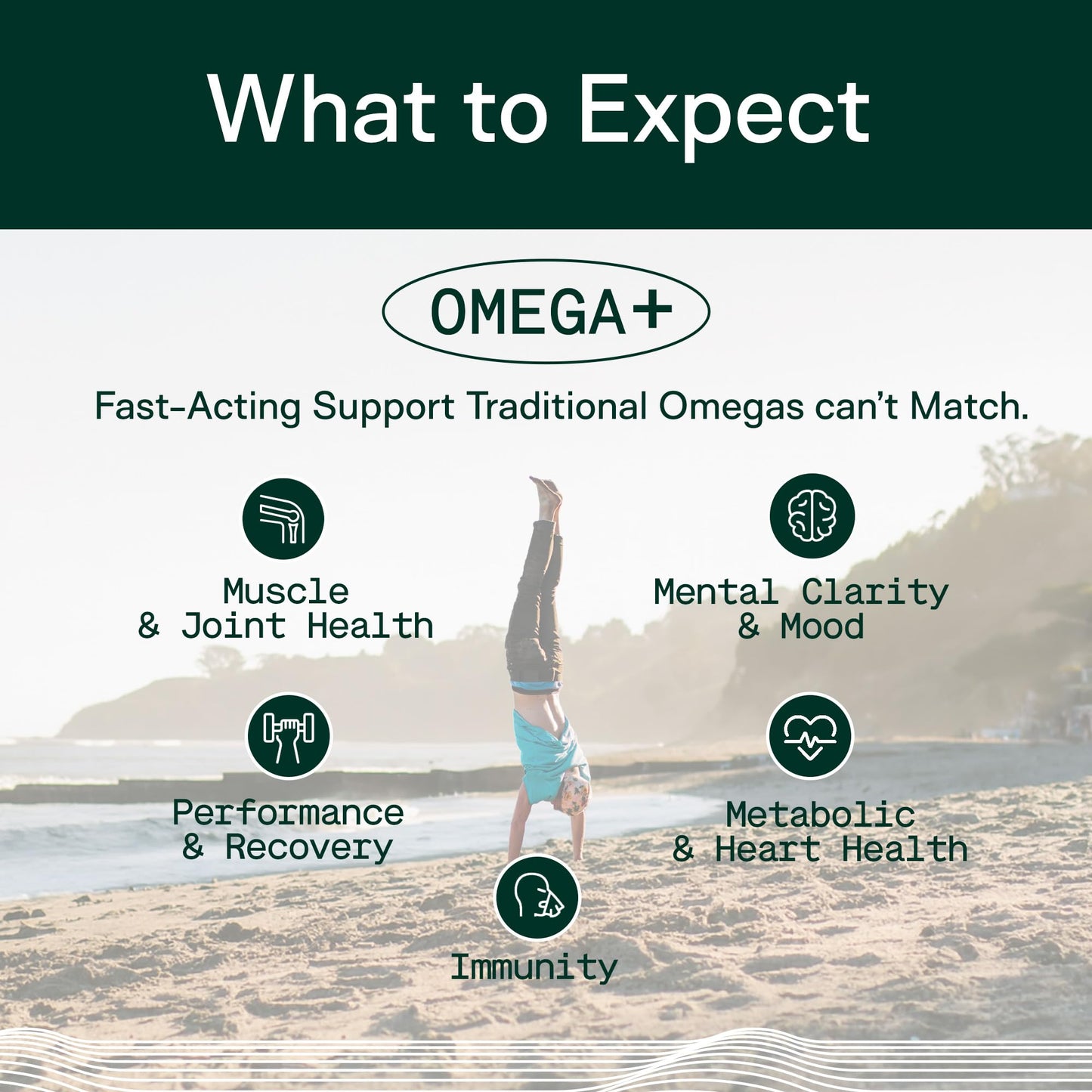Adapt Naturals Omega 3 Fish Oil Fatty Acids (1500mg) EPA DHA - Unflavored | with Bioavailable Curcumin (500mg) & Black Seed (500mg), Supports Muscle & Joints Recovery, & Heart Health - 30 Day Supply
