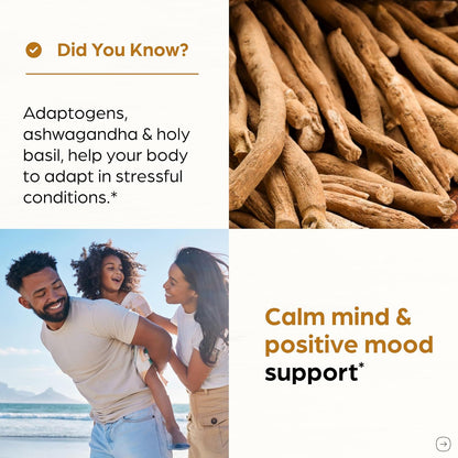 Organic Ashwagandha Capsules 120 Count | 4 in 1 with Zinc, Black Pepper & Holy Basil Extract | Immune Health, Extra Strength Stress, Mood & Energy Support | Non-GMO | For Men & Women | 2 Month Supply