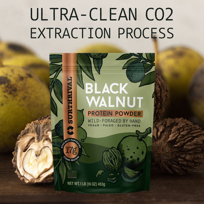 Surthrival: Black Walnut Protein Powder, Wild-Foraged, Ethically-Harvested, 17g Protein