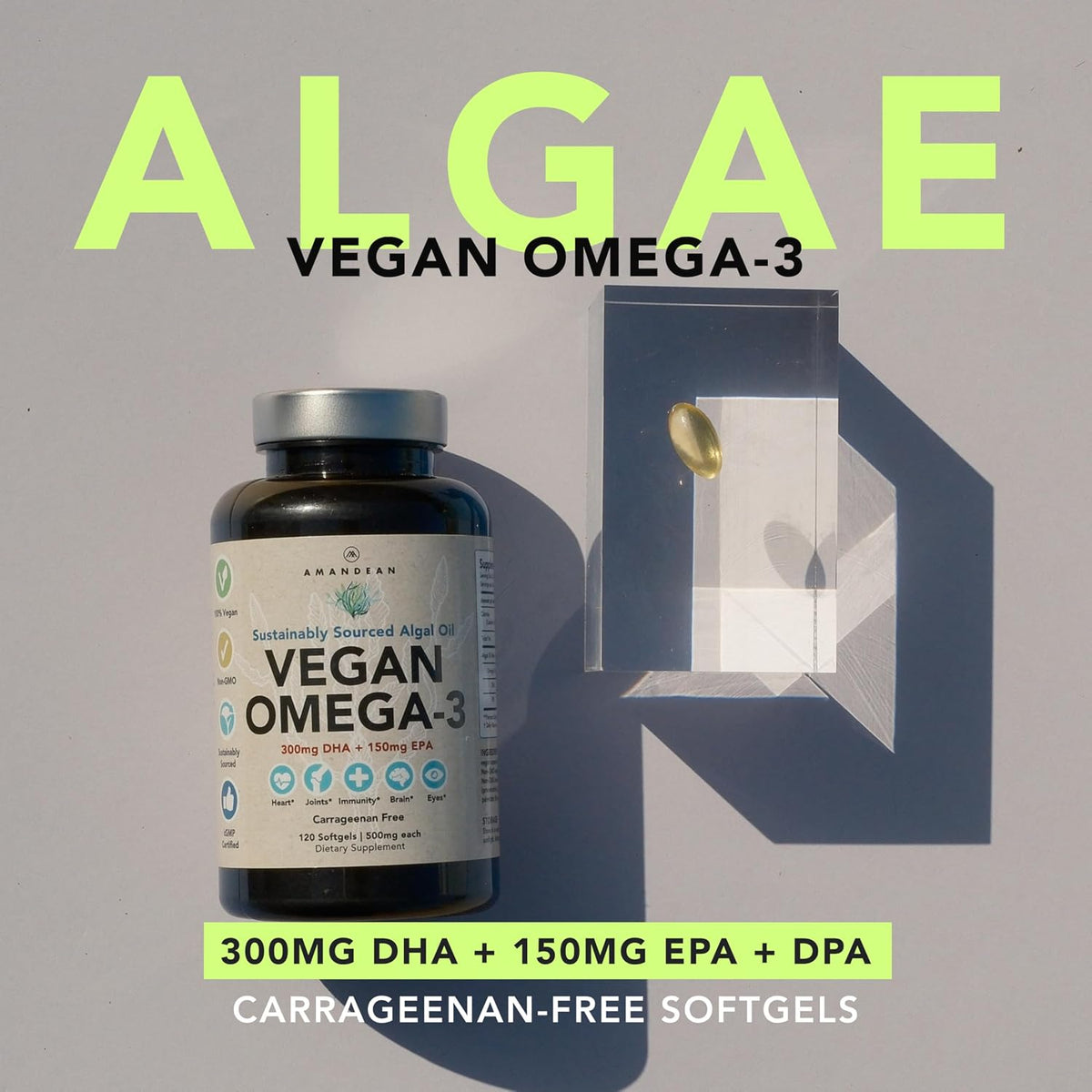 AMANDEAN Brain & Vegan Omega-3 Bundle: Magnesium Threonate, USA-Grown Lion’s Mane 6:1, Alpha-GPC & Algae DHA/EPA. Plant-Based Essential fats for Brain, Eye, Heart & Skin Health. Fish Oil Alternative.