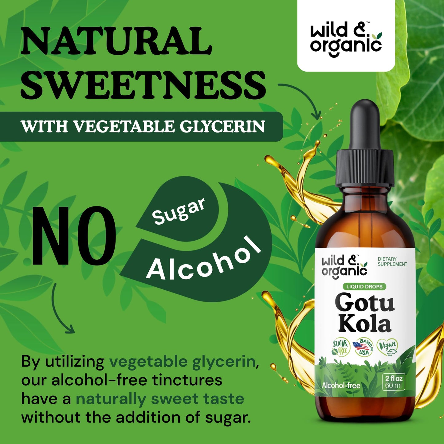 Wild & Organic Gotu Kola Extract Drops - Brain Support with Centella Asiatica Extract - Liquid Gotu Kola Supplement for Focus - Vegan, Sugar & Alcohol-Free Herb Tincture - 4 fl oz