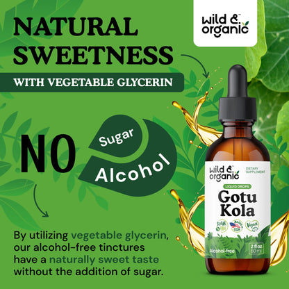 Wild & Organic Gotu Kola Extract Drops - Brain Support with Centella Asiatica Extract - Liquid Gotu Kola Supplement for Focus - Vegan, Sugar & Alcohol-Free Herb Tincture - 4 fl oz