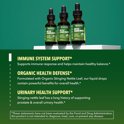 Organic Stinging Nettle Leaf Extract, Urinary Support, Unflavored, 1 Fl Oz | Stinging Nettle Tincture for Men and Women, USDA Certified, Vegan, Gluten Free, Non-GMO Herbal Tincture, 60 Servings