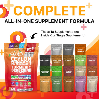 Clean Nutraceuticals Ceylon Cinnamon Capsules + Berberine Turmeric Apple Cider Vinegar Ginseng Bitter Melon (Karela) Gymnema Milk Thistle Fenugreek Supplement Pills Powder for Men & Women