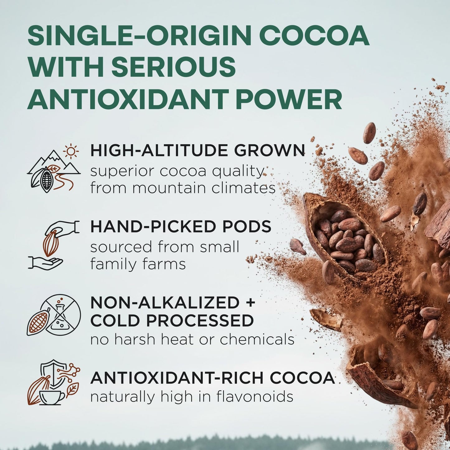 Wild Foods Organic Cocoa Powder Unsweetened for Baking & Cooking, Raw Cacao Powder, Organic Single-Origin Non-Dutched Dark Cocoa, 100% Pure, Non-GMO, Vegan Keto Superfood, Purity Tested, 12 oz