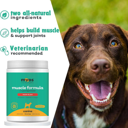MYOS Canine Muscle & Joint Support Bundle – Fortetropin Powder with Green Lipped Mussel (396g) + Bacon-Flavored Mobility Chews with Collagen & Glucosamine (60 Count)