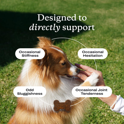 PetLab Co. Joint Care Chews for Dogs, 30 Soft Chews, Pork | Glucosamine, green-lipped mussel and omega-3s to support joint comfort, cartilage health and daily mobility