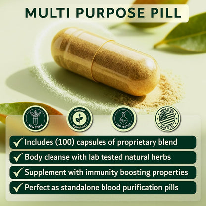 Blood Purifier & Lymphatic Cleanse- Systemic Detox Supplement for Skin, Liver, & Immune Health- Organic Andrographis & Coptis Herbal Formula- Vegan, Non-Laxative- 100 Capsules