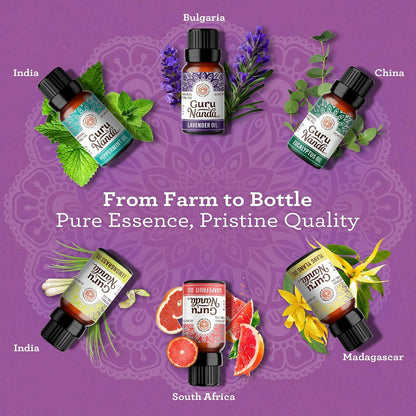 GuruNanda Essential Oils Set – 6 Pack (10mL Each), Lavender, Peppermint, Eucalyptus, Lemongrass, Grapefruit & Ylang Ylang, 100% Natural Aromatherapy Oils for Diffuser, Massage & DIY Candle Making