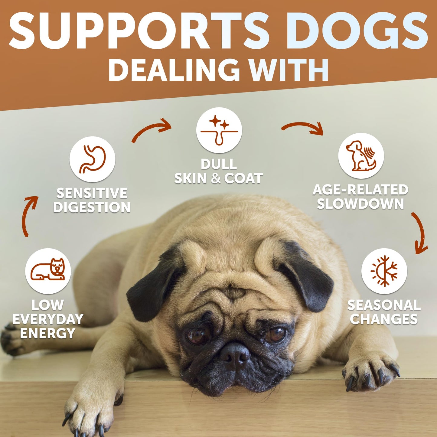 Dog Multivitamin Chewable with Glucosamine 26 in 1 - Dog Vitamins and Supplements - Senior & Puppy Multivitamin for Dogs - Pet Joint Support Health - Immunity, Mobility, Gut Skin - 120 Chews