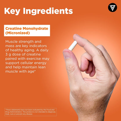 Vital Vitamins Creatine Monohydrate Pills, 3g for Women & Men | Supports Muscle Health, Energy & Cognitive Clarity, Micronized, Easy to Swallow, Non-GMO, 120 Capsules