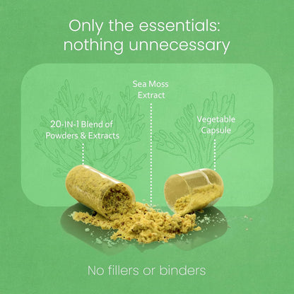 Sea Moss, Black Seed Oil, Bladderwrack, Turmeric, Ashwagandha, Burdock, Vitamin C, D3, Yellow Dock Root, Manuka, Dandelion - 90 Veggie caps