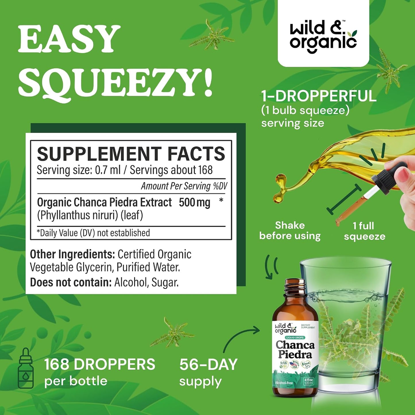 Wild & Organic Chanca Piedra Stone Breaker Drops - Kidney, Gallbladder & Urinary Support - Chanca Piedra Liquid Extract for Fast Absorption - Add to Tea Herb Tincture - Sugar & Alcohol-Free - 4 oz