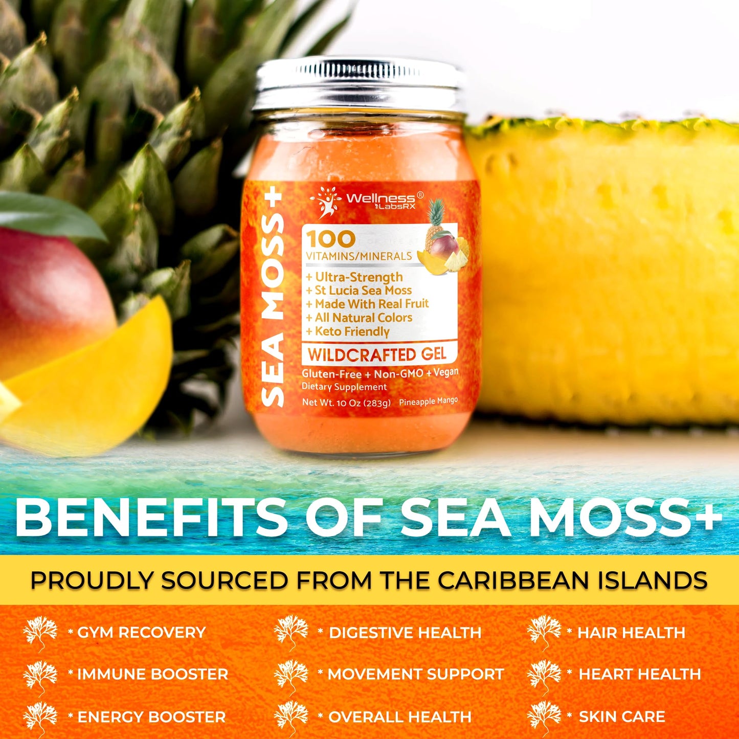 WELLNESS LABSRX Irish Sea Moss Gel Raw - Wildcrafted Superfood Seamoss Gel - Pineapple Mango Flavor, Vitamin and Mineral-Rich from Pristine Caribbean Waters - 10 oz.