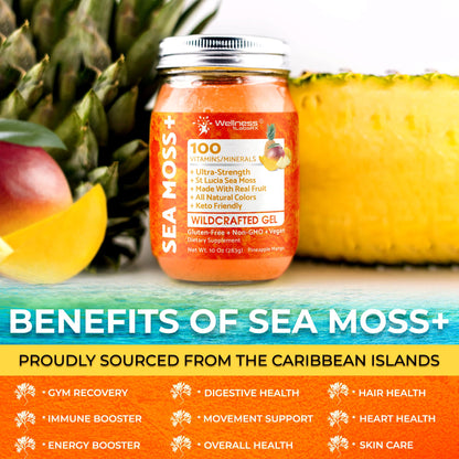 WELLNESS LABSRX Irish Sea Moss Gel Raw - Wildcrafted Superfood Seamoss Gel - Pineapple Mango Flavor, Vitamin and Mineral-Rich from Pristine Caribbean Waters - 10 oz.