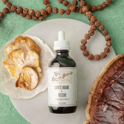 Hodgins Harvest Organic Lion's Mane Fruiting Body Extract Tincture - Mushroom Supplement for Brain Health and Mental Focus - Dual Extract Formula - Extra Concentrated - 4 fl oz Bottle