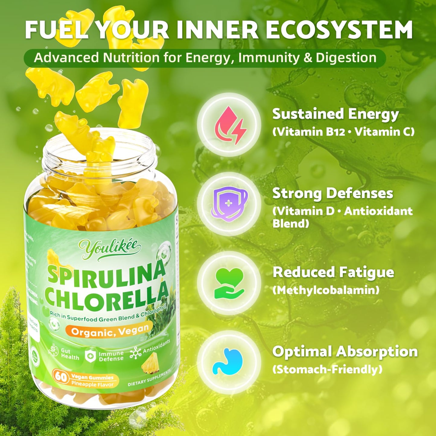 2 Pack Spirulina Chlorella Gummies, Supports Daily Energy & Immune System | Super Greens Blend with Protein, Chlorophyll, Vitamin C, D3, B12, Zinc, Pineapple Flavor, 120 Count