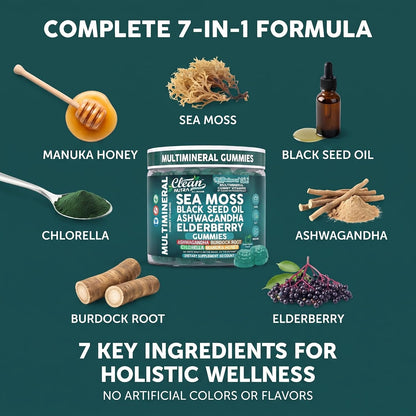 Sea Moss Gummies | Clinically Tested - Black Seed Oil Ashwagandha Elderberry Burdock Root Chlorella Manuka Honey - Vegan Irish Sea Moss Gummy Vitamins for Adults Kids Men Women - Green Apple Flavor