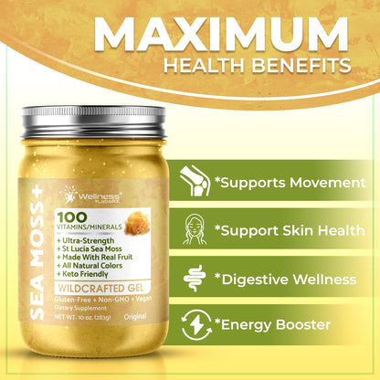 WELLNESS LABSRX Irish Sea Moss Gel Raw - Wildcrafted Superfood Seamoss Gel - Pineapple Mango Flavor, Vitamin and Mineral-Rich from Pristine Caribbean Waters - 10 oz.