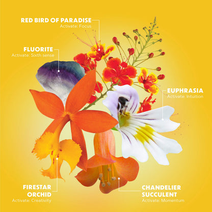 LOTUSWEI Inspired Action Flower Essence Elixir – Enhance Focus, Concentration, Mental Clarity & Creativity – Flower Remedy Supplement