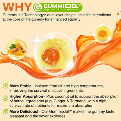 LILICARE Ginger Chews Gummies for Nausea & Digestive Support, Stomach Relief - Sugar Free with Turmeric & Odorless Garlic, Quercetin, Vitamin D3, C, Delicious Digestive Supplements, 60Cts (Pack of 1)