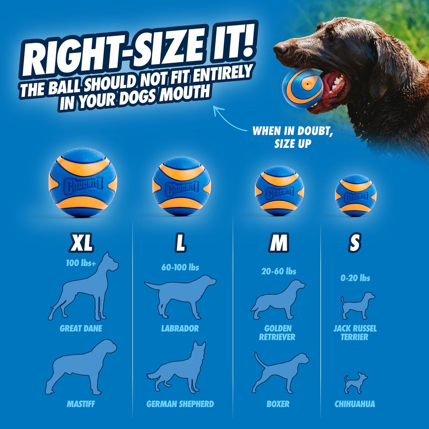 Chuckit! Ultra Ball Dog Toy - Medium Bouncy Fetch Balls For Dogs 20-60 lbs - Made from Durable Rubber - Floating Water Pet Toys - Size Medium - 2.5-inch Diameter - Pack of 2 | Bouncy durable rubber design for pups 20-60 lbs, high bounce action for active