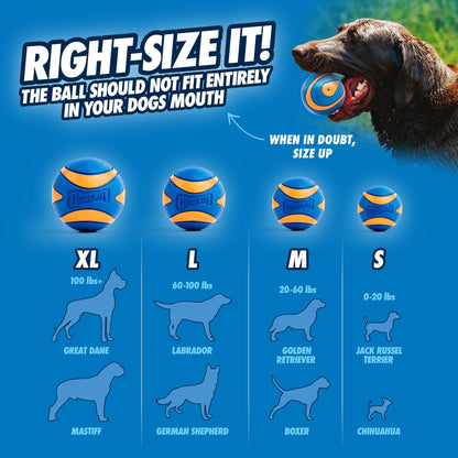 Chuckit! Ultra Ball Dog Toy - Medium Bouncy Fetch Balls For Dogs 20-60 lbs - Made from Durable Rubber - Floating Water Pet Toys - Size Medium - 2.5-inch Diameter - Pack of 2 | Bouncy durable rubber design for pups 20-60 lbs, high bounce action for active