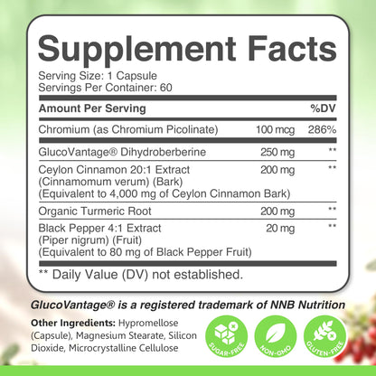 Dihydroberberine 250mg | GlucoVantage 30 days Supply | DHB supplement