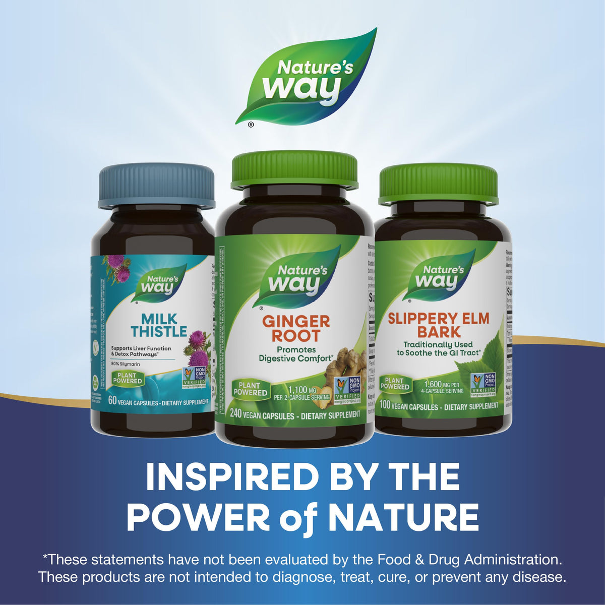 Nature's Way Ginger Root, Promotes Digestive Comfort*, 1,100 mg Per 2-capsule Serving
