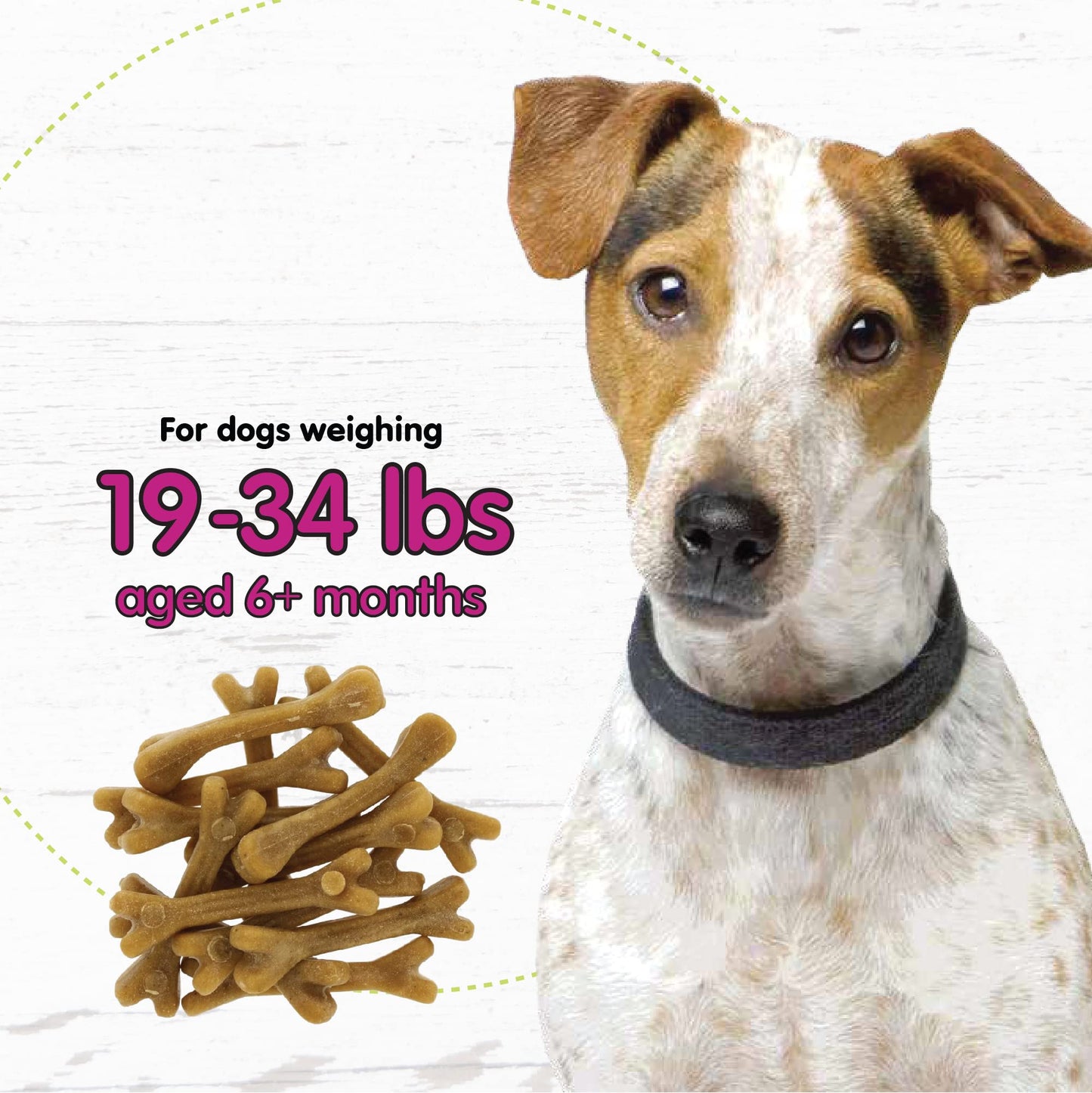 Fido Belly Bones for Dogs, Mini - 21 Count - Yogurt-Flavor Dental Treats for Small Dogs - Plaque & Tartar Control for Fresh Breath - Digestive Support - Made in USA