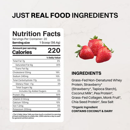 JUST INGREDIENTS Vanilla Bean Protein Powder – 20-Serving Blend with 100% Grass-Fed Whey & Organic Plant Proteins – Real Vanilla Bean & Cinnamon – Supports Muscle Recovery, Energy*