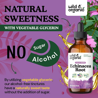 Wild & Organic Echinacea Drops - Immune & Lymphatic Drainage Drops - Liquid Echinacea Supplement - Add to Tea Tincture - Angustifolia Herb Extract - Vegan, Sugar & Alcohol-Free - 4 fl oz