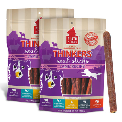 Plato Pet Treats Thinkers - Meat Stick Treats for Dogs - Limited Ingredient with EPA and DHA to Support Skin, Coat, and Brain - Air-Dried - Thinkers Salmon 10oz - 2 Pack