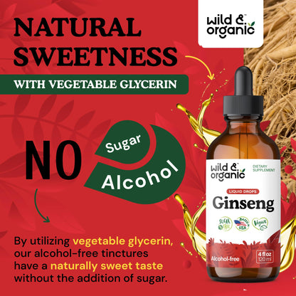 Wild & Organic Korean Panax Ginseng Extract Liquid Drops - Immune & Energy Support - Red Ginseng Root Supplement - Easy to Add to Tea - Vegan, Sugar & Alcohol-Free Tincture - 4 fl oz