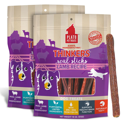 Plato Pet Treats Thinkers - Meat Stick Treats for Dogs - Limited Ingredient with EPA and DHA to Support Skin, Coat, and Brain - Air-Dried - Thinkers Salmon 10oz - 2 Pack
