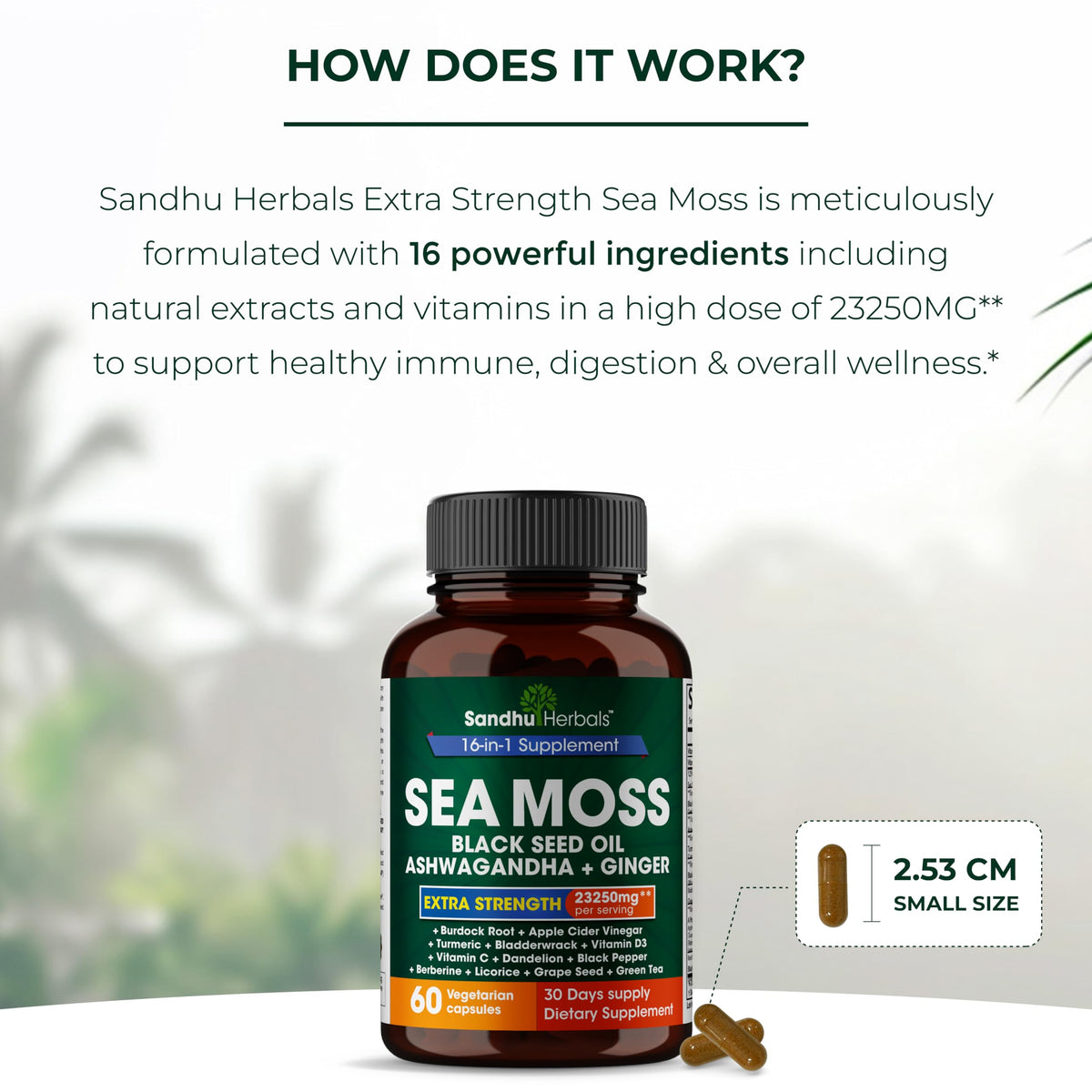 Sandhu Herbals Sea Moss 8000mg Black Seed Oil 5000mg Ashwagandha 2000mg Ginger