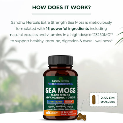 Sandhu Herbals Sea Moss 8000mg Black Seed Oil 5000mg Ashwagandha 2000mg Ginger