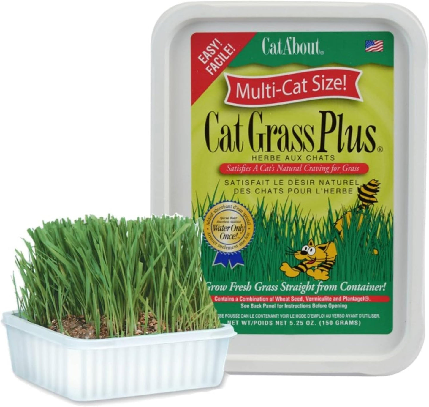 Miracle Care Cat A'bout Cat Grass Kit, 5.25 Ounce | Easy to Grow Seeds + Planter for Indoor Cats, Natural Fiber Aids Digestion, Reduces Hairballs, Freshens Breath, Quick Growing