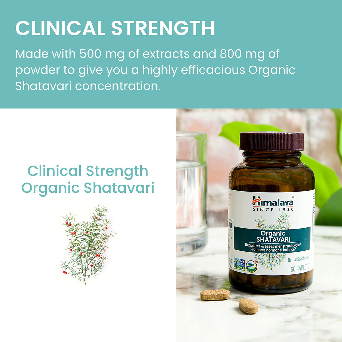 Himalaya USDA Organic Shatavari Capsules - Shatavari Capsules for Women, Promotes Hormone Balance and Menstrual Cramp Relief - Vegan, Gluten Free, 1300 mg, 60 Caplets