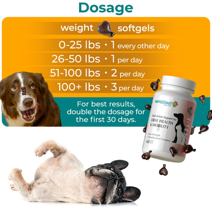1TDC WorksSoWell Dual Action Hip and Joint Supplement for Dogs & Cats - for Large & Small Breed - Great for Oral Health, Stamina Recovery & Arthritis Pain Relief -120 ct