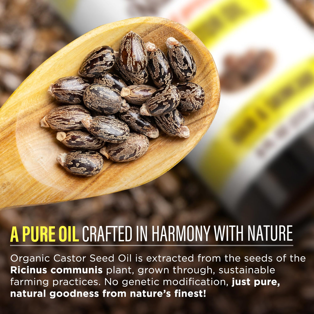 GuruNanda Castor Oil USDA Certified Organic, Pure & Natural, 8 fl oz