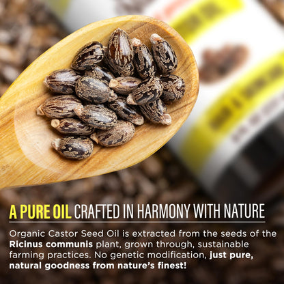 GuruNanda Castor Oil USDA Certified Organic, Pure & Natural, 8 fl oz