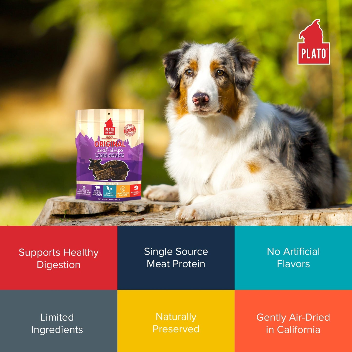 Plato Real Strips Salmon Recipe Dog Treats, Air-Dried High-Protein Soft Strips, Omega-Rich Skin & Coat Support, 18 oz
