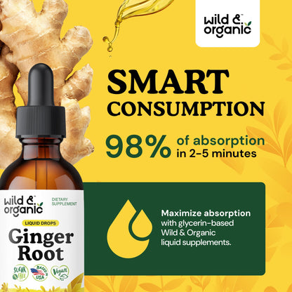 Wild & Organic Ginger Root Extract Drops - Immune & Digestive Support - Liquid Ginger Supplements - Easy to Add to Tea - Vegan, Sugar & Alcohol-Free Tincture - 4 fl oz