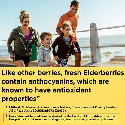 Nature Made Elderberry 400 mg Extract with Vitamin C and Zinc, Dietary Supplement